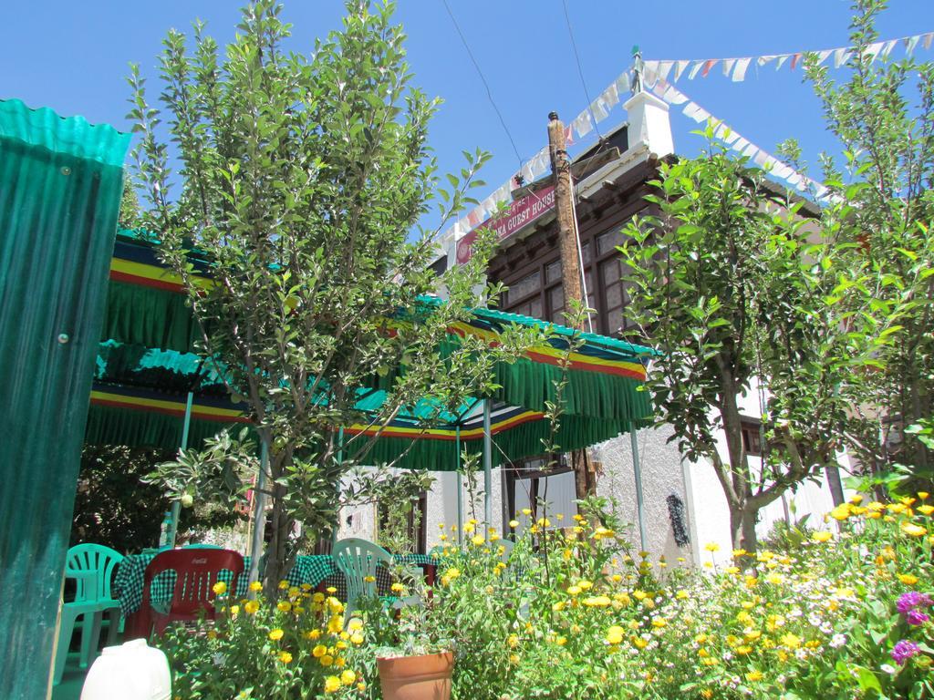 Ashoka Ladakh Hotel Leh Exterior foto
