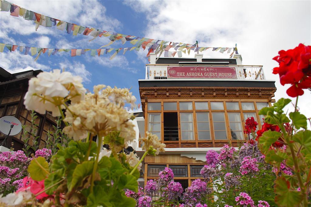 Ashoka Ladakh Hotel Leh Exterior foto